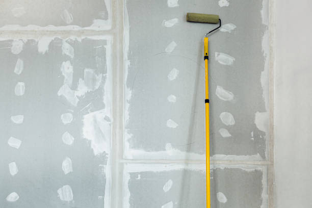 Best Mold Remediation for Healthcare Facilities  in Wtmore Village, HI