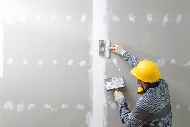 Best Comprehensive Air Testing for Mold Contaminants  in Wtmore Village, HI