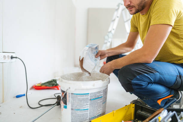 Best Industrial Mold Remediation  in Wtmore Village, HI