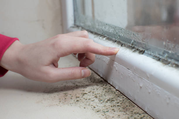 Best Indoor Air Quality Assessment  in Wtmore Village, HI