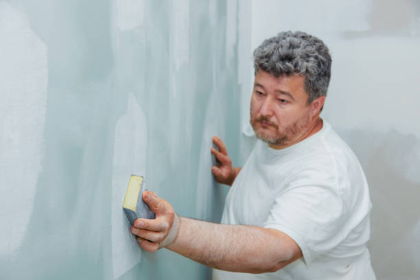 Best Mold Damage Restoration  in Wtmore Village, HI