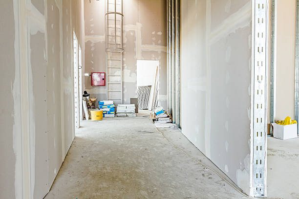 Best Biohazard Mold Removal  in Wtmore Village, HI
