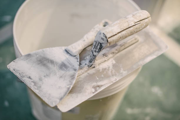 Best Mold Documentation for Insurance Claims  in Wtmore Village, HI